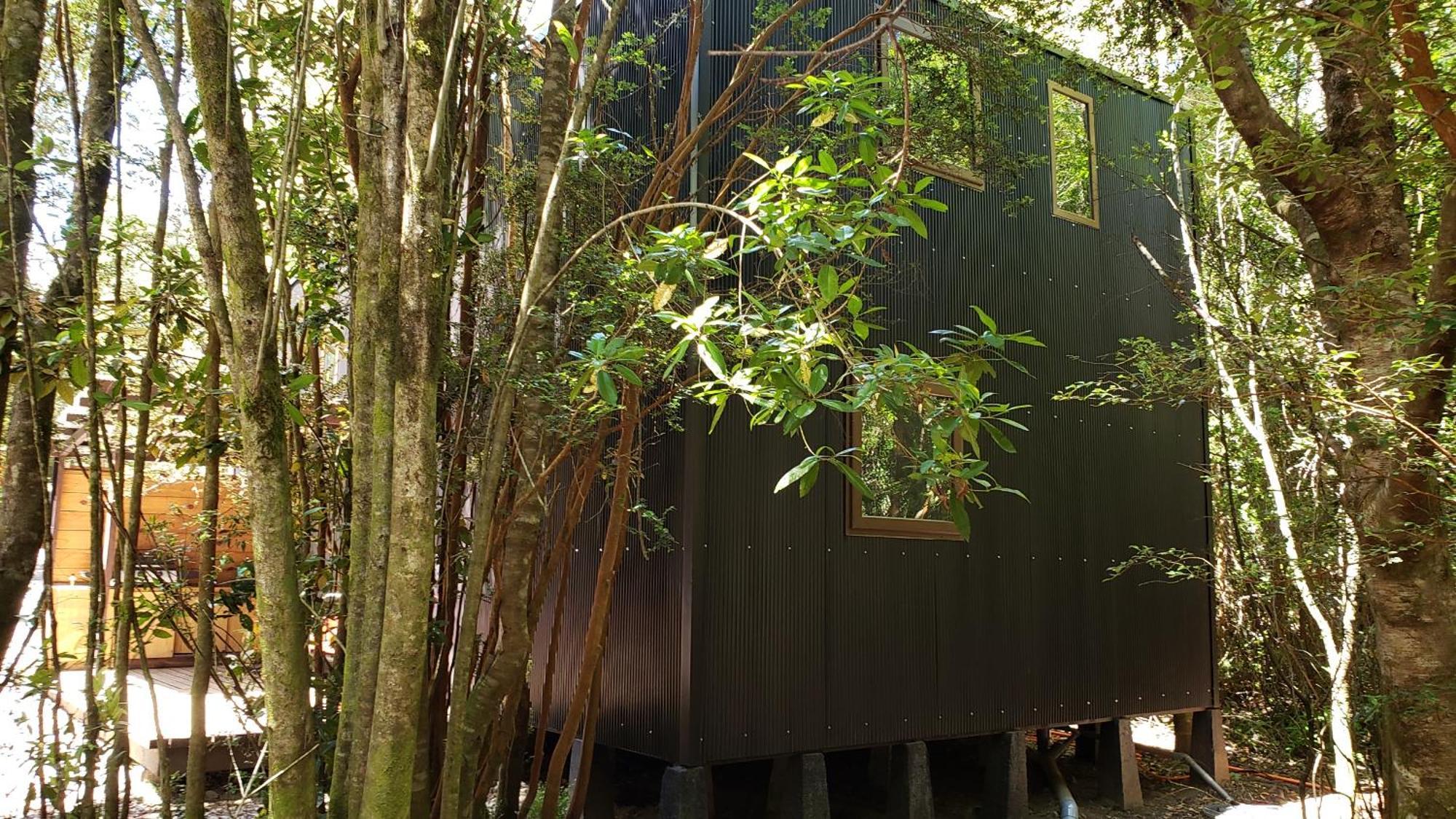 Cabana Refugio Del Bosque Apartment Puerto Varas Bagian luar foto